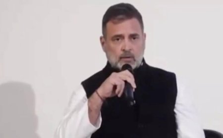 'Threatening anarchy':  BJP hits out at Rahul's 'democracy' remark in Berlin; accuses him of 'wanting chaos'