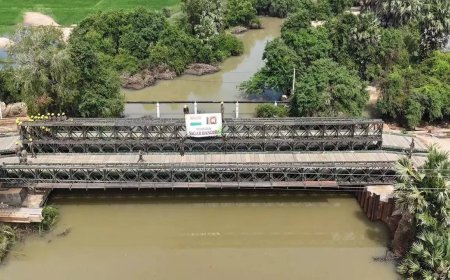 Operation Sagar Bandhu: India airlifts 120-foot bailey bridge; installs it in Sri Lanka's Kilinochchi district