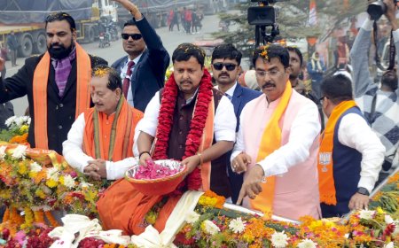 'Part-time politician': BJP president Nitin Nabin attacks Rahul Gandhi; claims leader visits Bihar only during elections