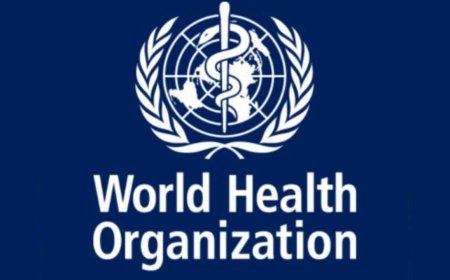 WHO begins global coding of ayurveda siddha unani paving way for mainstream integration