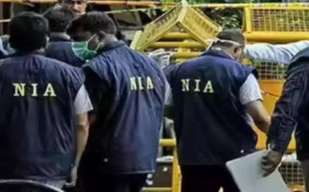 Special NIA court orders attachment of property of US-based Kashmiri lobbyist