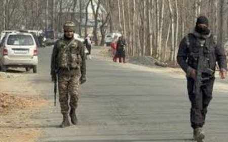 Major search operations in Jammu &amp; Kashmir ahead of new year, Republic Day celebrations