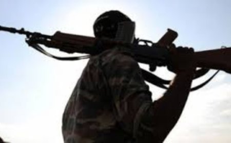 22 Chhattisgarh Reds lay down arms in Odisha