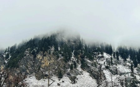 Avalanche warning issued for five districts in Jammu and Kashmir