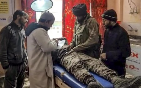 J&amp;K: Leopard attacks CRPF cop in Kashmir camp