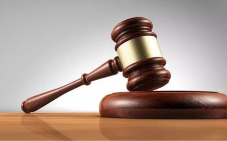 'Criminals are operating with impunity': Punjab and Haryana high court censures Punjab police over law and order; summons DGP