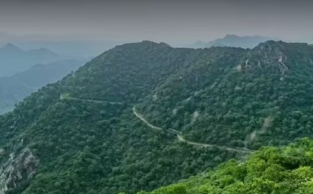 Will increase mining-free zones in Aravalis: Centre