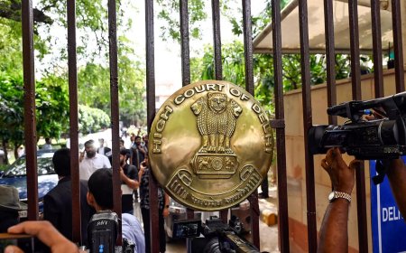 Delhi HC directs Centre to fast-track extradition of US-based accused; trial to end within a year