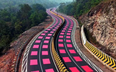 In MP, a highway learns to slow down for tigers
