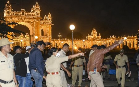 Karnataka: Balloon cylinder blast near Mysuru Palace kills 1; 4 injured