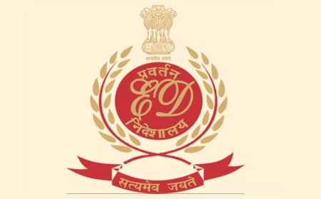 Industrialist’s digital arrest: ED apprehends 1, searches 11 sites