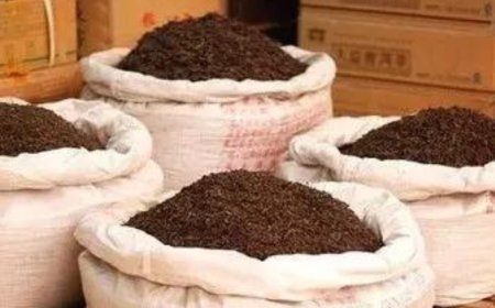 No herbal infusion can be called tea, says FSSAI