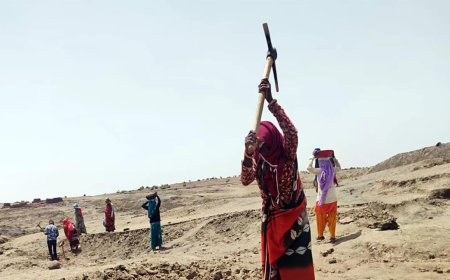 Parl panel omits G RAM G bill reference; its chairperson insists will discuss it