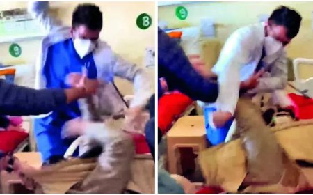 Himachal Pradesh: Doctors launch indefinite strike after colleague sacked over assault; demand immediate reinstatement