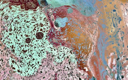 Salt Lines: A forgotten 4,000-km 'living border' reappears in a Mumbai museum