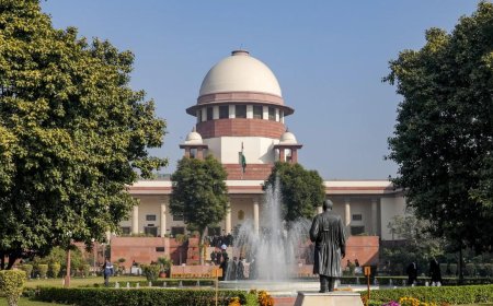Unnao rape case: SC to hear CBI challenge to Sengar's life-term suspension on Dec 29; what survivor told agency