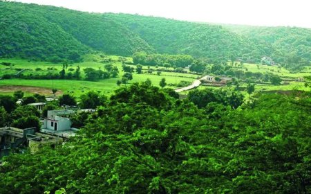 Rajasthan: Over 1,230 mine leases exist across Aravalis in the state; Rajsamand district alone accounts for over 540