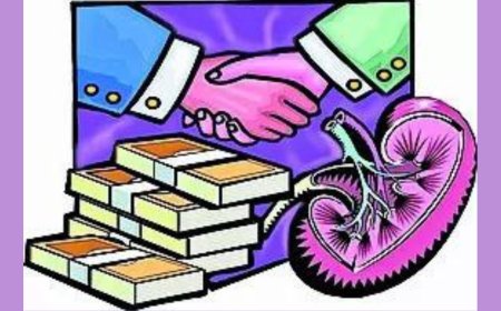 Maharashtra: SIT probe finds China link to kidney racket