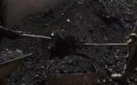 Centre to set up coal exchanges to promote competitive markets as production rises