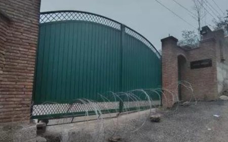 J&amp;K: NC’s Aga Ruhullah Mehdi, PDP’s Waheed Parra, Iltija Mufti detained over quota protest