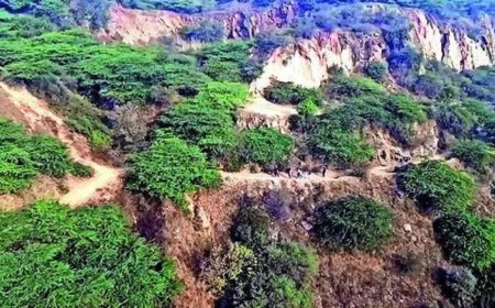 Supreme Court saved Aravalis for 20 years, and PMO on two occasions