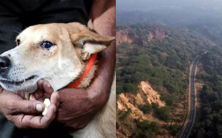 2025 a year of flip flops in SC, it overturns many orders, including on Aravali, within weeks &amp; months