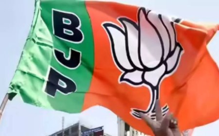 Fissures in Mahayuti? BJP MLA says 'workers feeling neglected'; seat-sharing talks in focus