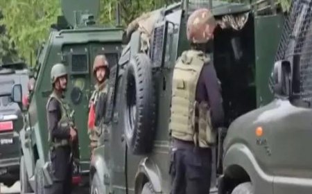 Jammu &amp; Kashmir records 25 per cent dip in fire incidents in 2025