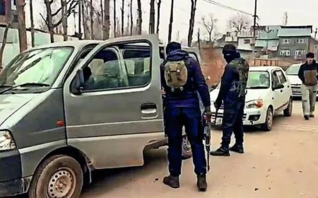 Jammu &amp; Kashmir: Police conducted 541 cordon-search ops in Jammu in 2025; no active terrorist presence