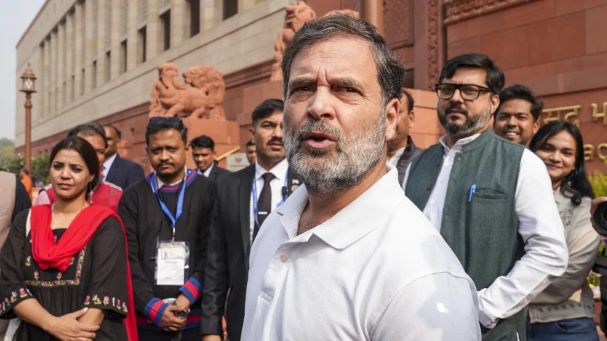 'Pets not allowed outside, but inside': Rahul Gandhi reacts to Renuka Chaudhary bringing dog in Parliament; BJP hits back