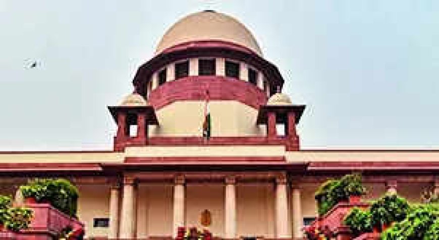 Illegal migrants have no legal rights, says SC