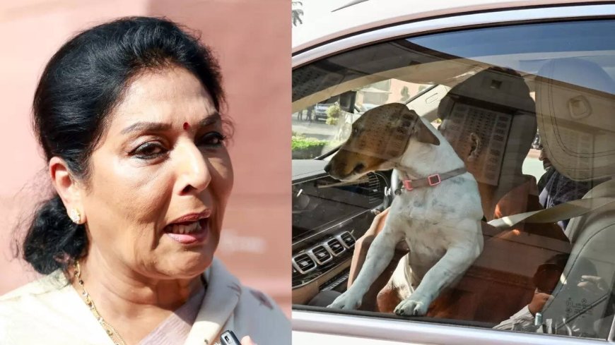 Dog remark row: Congress MP Renuka Chowdhury’s ‘bhow bhow’ reply to question on privilege motion — watch