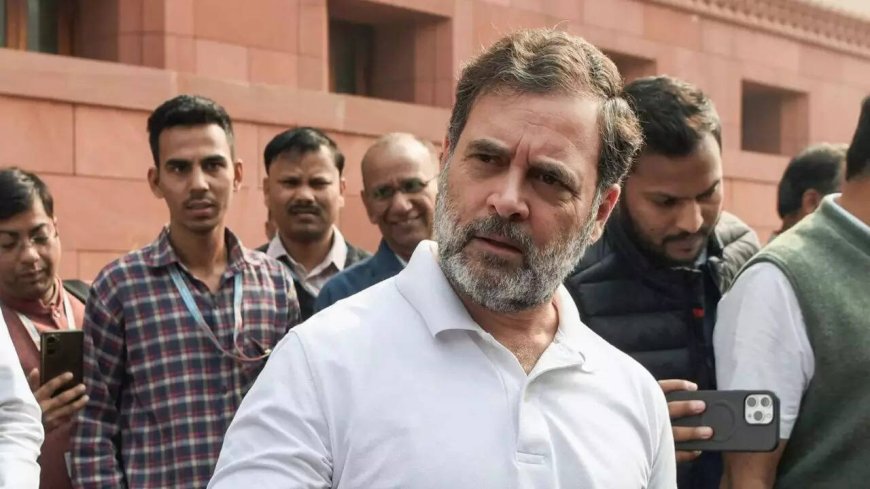 ‘Betrayed Bahujans’: Rahul slams Centre over caste census delay; says government has no framework for survey