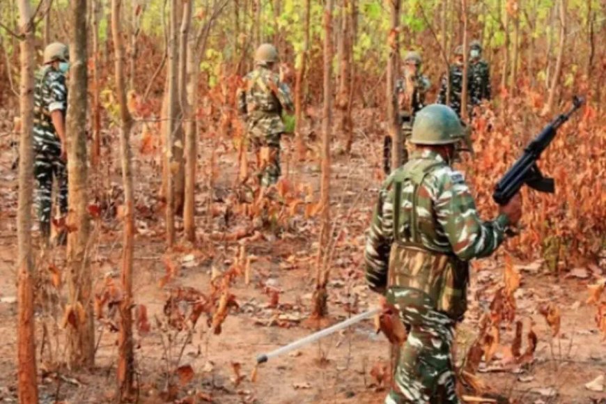 12 Reds, 3 cops dead as forces push deeper into Bastar; 268 Maoists killed so far in 2025