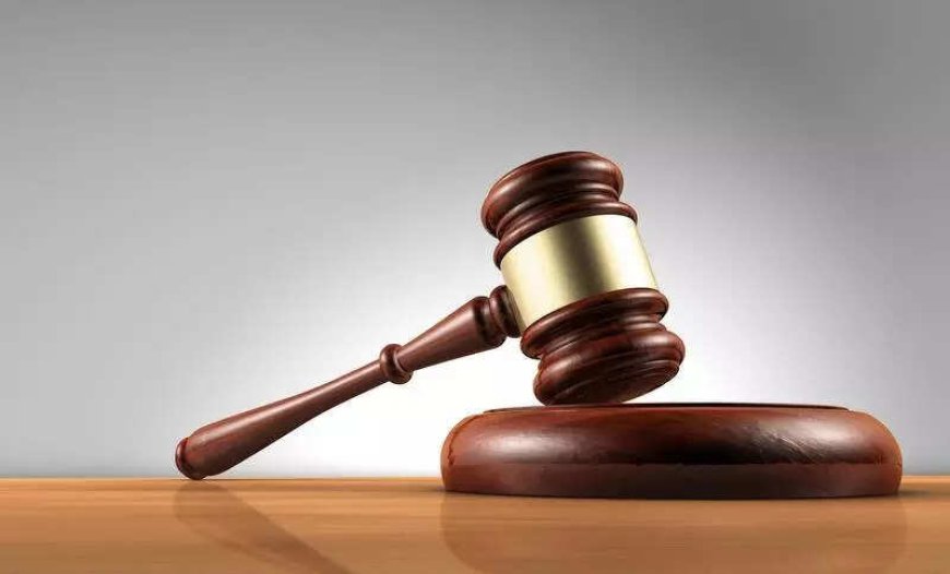 Live-in ok for adults even if not of marriage age: Rajasthan HC