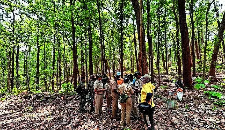 After 10-yr chase, wildlife sleuths nab the ‘ghost’