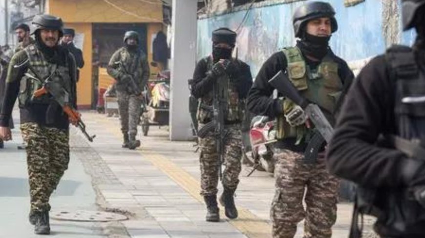 Chinese national released; cops find immigration violations by hotels, homestays, houseboats