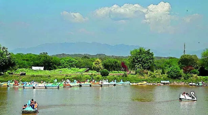 After 30 years, SC says it's time to let HCs look into state-related green issues