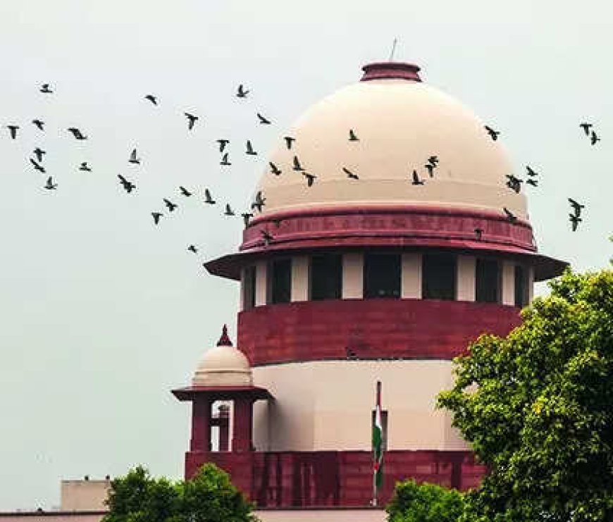 Can't hear out holders before declaring a/cs fraud: RBI, SBI
