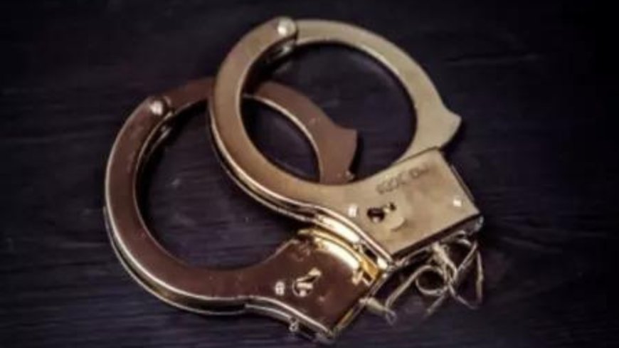 Jaish terrorist held with M-5 rifle near IB in J&amp;K’s Akhnoor