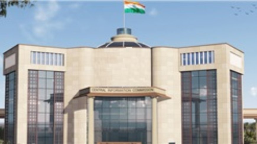 After 7 years, CIC to be at full strength