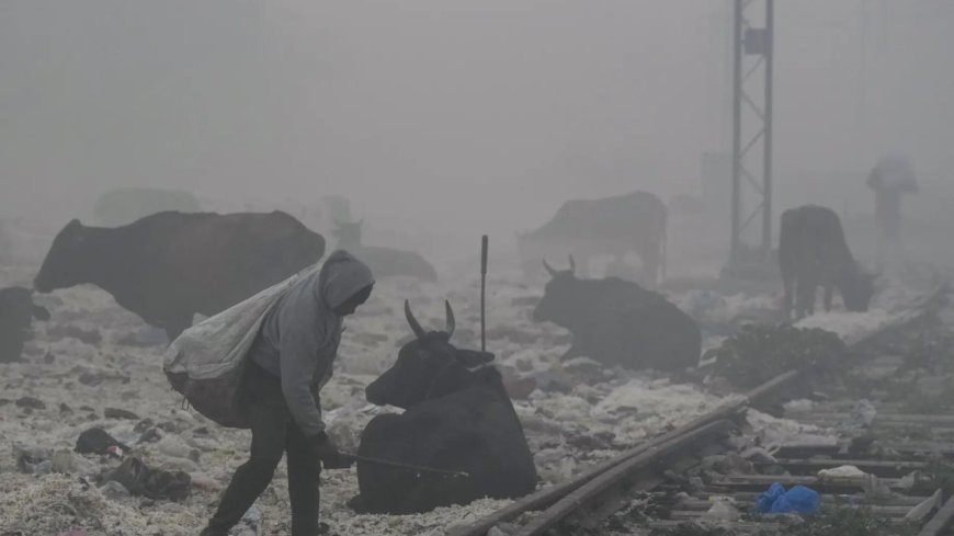 Delhi air pollution: Singapore, UK and Canada issue advisory as AQI soars; caution travelers