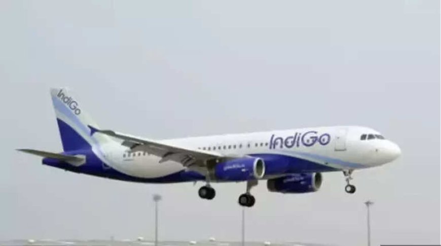 Panel questions IndiGo, DGCA babus, gets 'unconvincing' replies