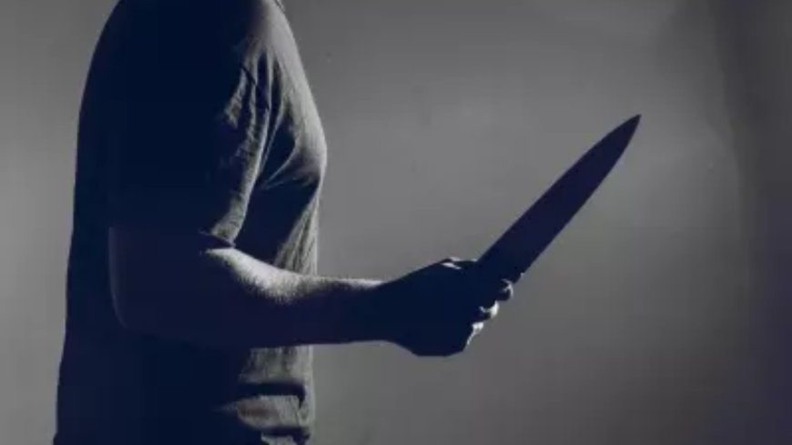Delhi horror: Lover stabs woman over abortion dispute; accused locked house, fled