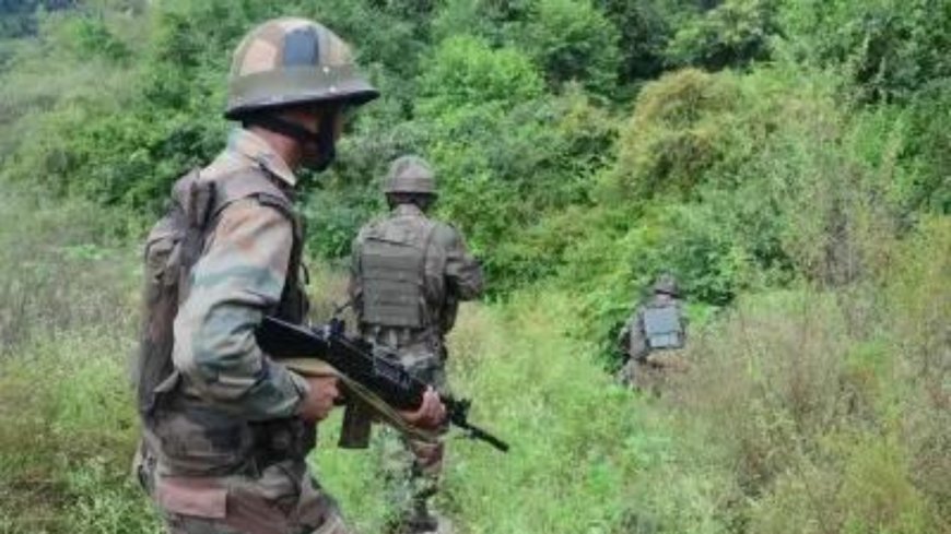 Hunt expands for terrorists hiding in Udhampur forests