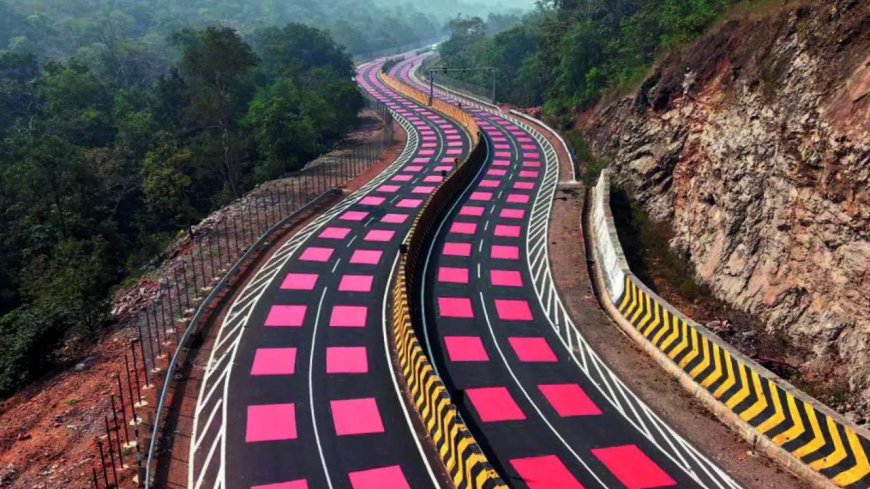 In MP, a highway learns to slow down for tigers