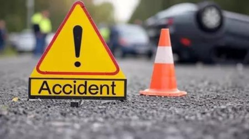 J&amp;K: CBI lawyer killed in highway crash; accused driver arrested