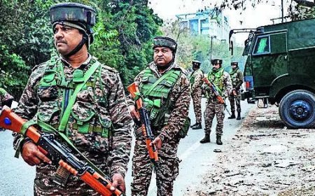 Search op in Rajouri after VDG opens fire at terror suspect; high alert in Chenab region