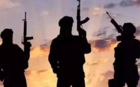 J&amp;K: Police attach property of Pak-based handler in Poonch; UAPA invoked