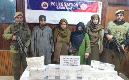 J&amp;K crackdown: 2 terror associates nabbed with arms, grenades in Ganderbal; SOG recovers rifle in Doda forest